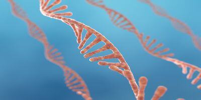 A New Addition to the CRISPR Toolbox: Teaching the Gene Scissors to Detect RNA