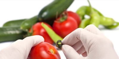 Food Safety and Quality Control